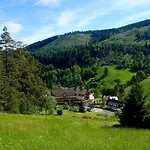 Hotel Tanne Tonbach - Wellness & Wohlfuehl 4*