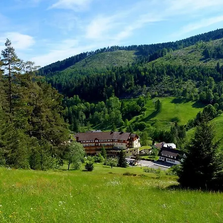 Hotel Wellnesshotel Tanne 4*