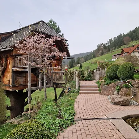 Tanne Tonbach - Wellness & Wohlfuehl 4* Baiersbronn