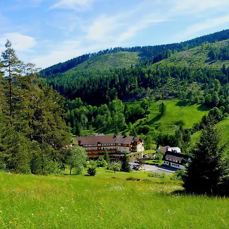 Hotel Tanne Tonbach - Wellness & Wohlfuehl 4*