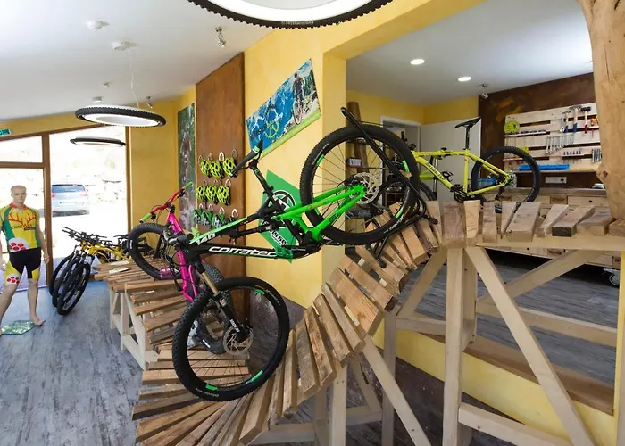 Otel Wellnesshotel Tanne Baiersbronn